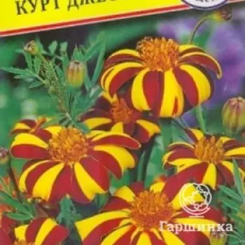 Семена Бархатцы откл. Французские "Курт Джестер" 20 шт, Престиж