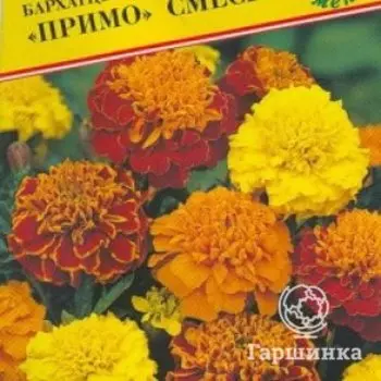 Семена Бархатцы откл."Примо" Смесь 20 шт, Престиж