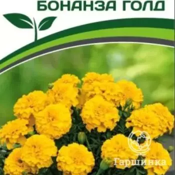 Семена Бархатцы отклоненные "Бонанза Голд" 10, Партнер