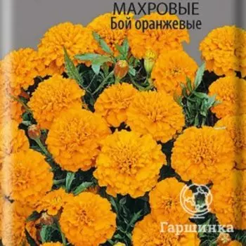 Семена Бархатцы отклоненные махровые Бой оранжевые 0,4, Поиск