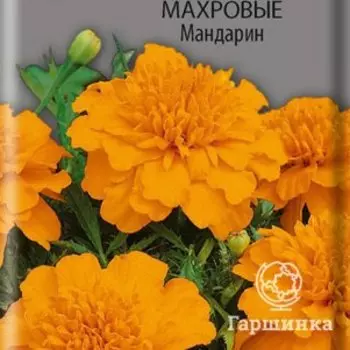 Семена Бархатцы отклоненные махровые Мандарин 0,4, Поиск