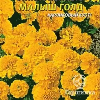 Семена Бархатцы отклоненные Малыш Голд 30 шт Плазменные семена