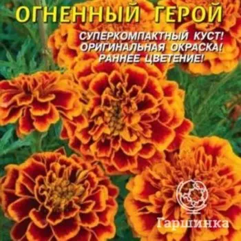 Семена Бархатцы отклоненные Огненный Герой 15 шт Плазменные семена