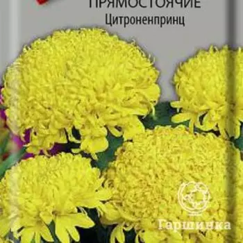 Семена Бархатцы прямостоячие Цитроненпринц 0,4, Поиск
