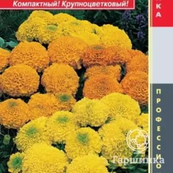 Семена Бархатцы прямостоячие F1 Антигуа Микс 5шт Плазменные семена