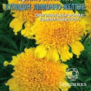 Семена Бархатцы прямостоячие Купидон Лимонно-желтый 20 шт Плазменные семена
