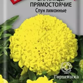Семена Бархатцы прямостоячие Спун лимонные 0,1, Поиск