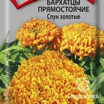 Семена Бархатцы прямостоячие Спун золотые 0,1, Поиск