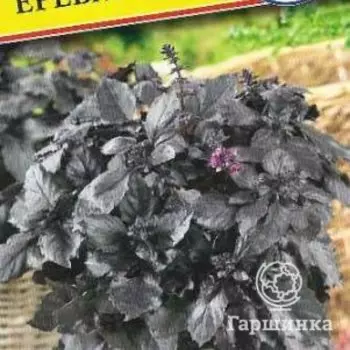 Семена Базилик "Ереванский" 0,5 гр, Престиж