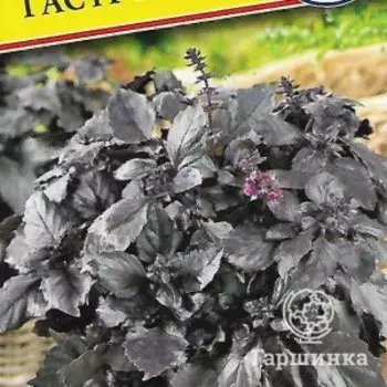 Семена Базилик "Гастроном" 0,5 гр, Престиж