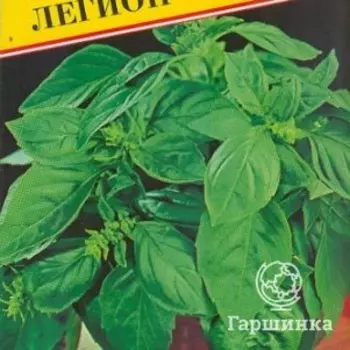 Семена Базилик "Легион" 0,5 гр, Престиж