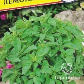 Семена Базилик "Лемона" 0,5 гр, Престиж