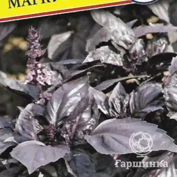 Семена Базилик "Маркус" 0,5 гр, Престиж