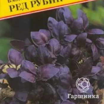 Семена Базилик "Ред Рубин" 0,5 гр, Престиж