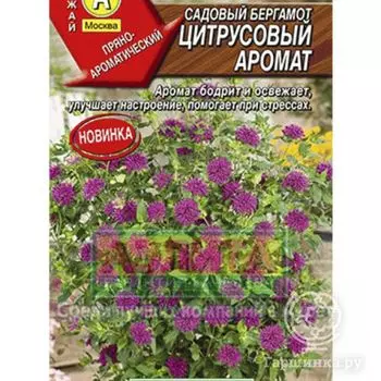 Семена Бергамот Цитрусовый аромат 0.02г