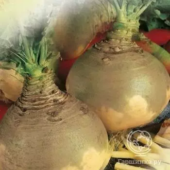 Семена Брюква Красносельская 0,5гр