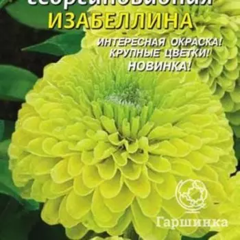 Семена Цинния георгиновидная Изабеллина, 0,3 гр, Плазменные семена