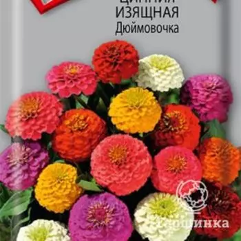 Семена Цинния изящная Дюймовочка 0,4, Поиск