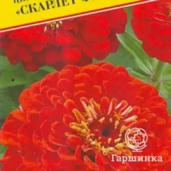 Семена Цинния изящная "Скарлет флейм" 20 шт, Престиж