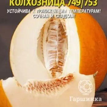 Семена Дыня Колхозница 749/753 0,5 гр Плазменные семена