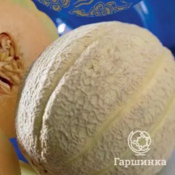 Семена Дыня Награда (А) 5, Поиск