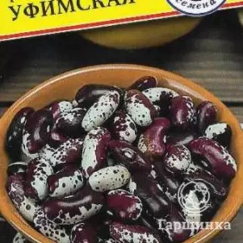 Семена Фасоль об. "Уфимская" 4 гр, Престиж