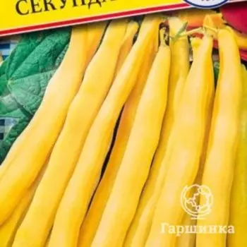 Семена Фасоль ов. "Секунда" 5 гр, Престиж