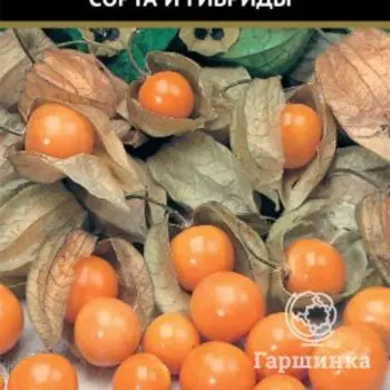 Семена Физалис Колокольчик (А) 0,25, Поиск