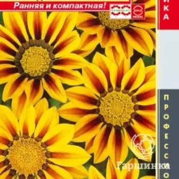 Семена Гацания F1 (серия New Day) Красно-желтая 5шт Плазменные семена