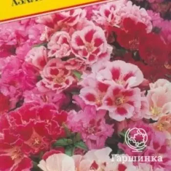 Семена Годеция "Азалиецветковая" 0,1 гр, Престиж