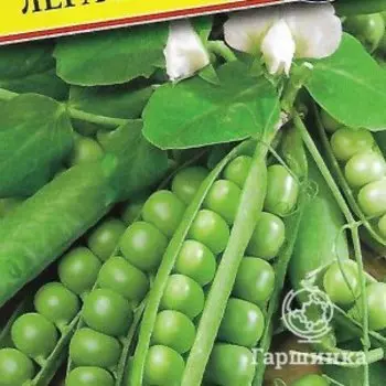 Семена Горох "Легаси" 4 гр, Престиж