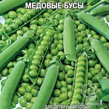 Семена Горох Медовые бусы