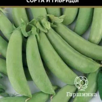 Семена Горох овощной Калипсо (А) 10, Поиск