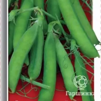 Семена Горох овощной Триумф 10, Поиск