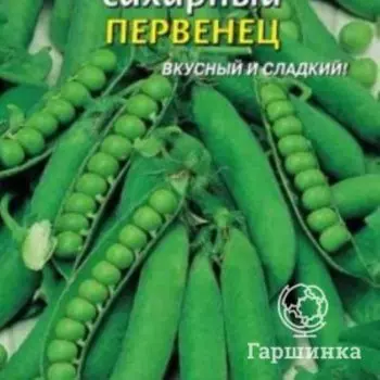 Семена Горох Первенец сахарный (9шт), Плазменные семена