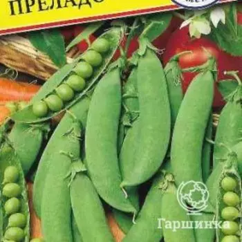 Семена Горох "Преладо" 4 гр, Престиж