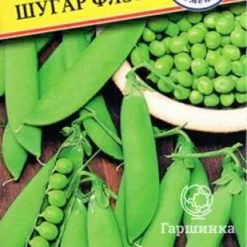 Семена Горох "Шугар Флэш" 4 гр, Престиж