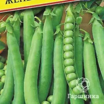 Семена Горох "Женева" 4 гр, Престиж