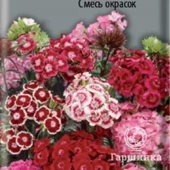 Семена Гвоздика Турецкая Смесь окрасок 0,25, Поиск