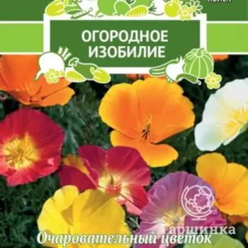 Семена Эшшольция Мираж 0,2, Поиск
