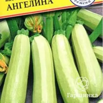 Семена Кабачок "Ангелина" F1 5 шт, Престиж