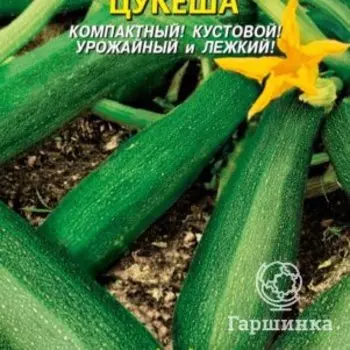 Семена Кабачок цуккини Цукеша 10 шт Плазменные семена