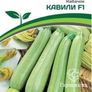Семена Кабачок Кавили F1 5 шт. Партнер