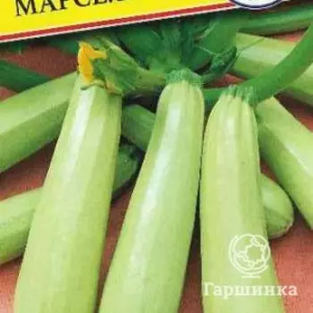 Семена Кабачок "Марселла" F1 5 шт, Престиж