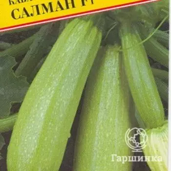 Семена Кабачок "Салман" F1 5 шт, Престиж