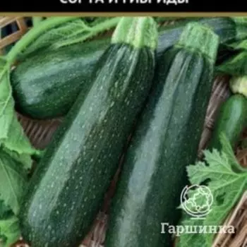 Семена Кабачок Скворушка (А) 2, Поиск