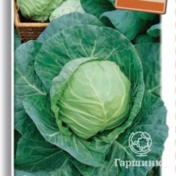 Семена Капуста белокочанная Атаман F1 0,2, Поиск