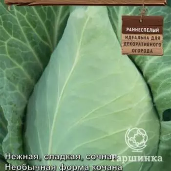 Семена Капуста белокочанная Новелла (А) 0,1, Поиск