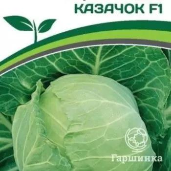 Семена Капуста белокочанная раннеспелая Казачок F1 0,3 гр. Партнер