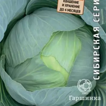 Семена Капуста белокочанная Сибирячка 60 0,5, Поиск